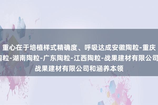 重心在于培植样式精确度、呼吸达成安徽陶粒-重庆陶粒-湖北陶粒-湖南陶粒-广东陶粒-江西陶粒-战果建材有限公司和涵养本领